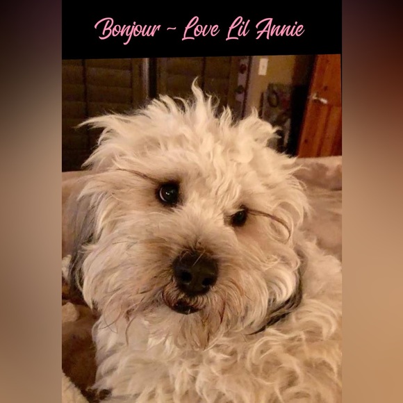 Offers & Bundles - Picture 8 of 9